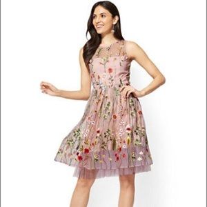 Embroidered Mesh Overlay Fit and Flare Dress